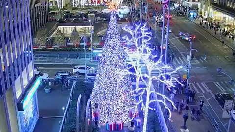 All-American Christmas tree shines bright in Fox Square