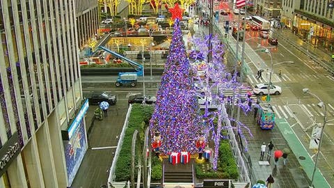 All-American Christmas tree shines bright in Fox Square