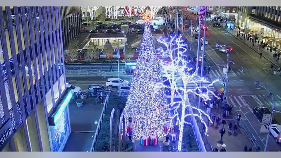 All-American Christmas tree shines bright in Fox Square