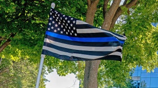 Major US police force bans flag over complaint it symbolizes 'racist views'