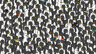 Can you find 3 cats hidden in a sea of penguins?