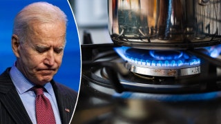 Dem crosses party lines to stop Biden's gas stove crackdown in its tracks