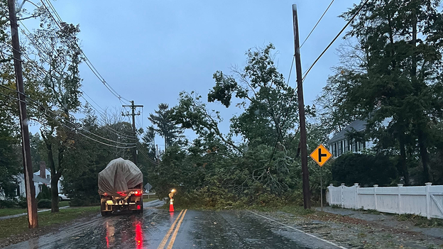 Large tree falls across Main Street in Hingham, Mass.