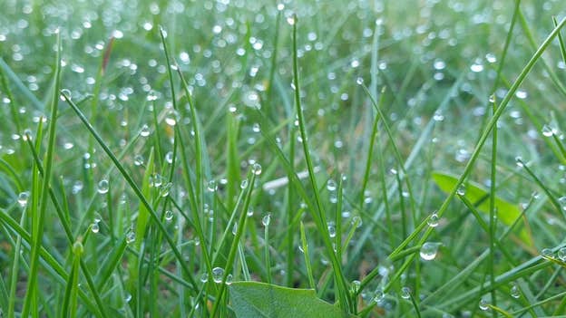 Weather observations show humidity is high, but it still feels cold outside