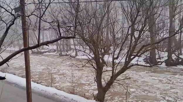 VIDEO: Ice flows in West Virginia river