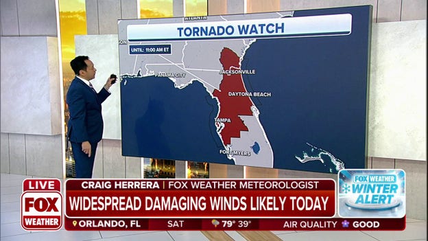 Widespread damaging winds likely Saturday for Southeast