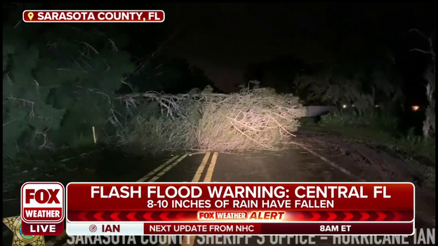 Video shows downed trees, power lines littering streets in Sarasota County