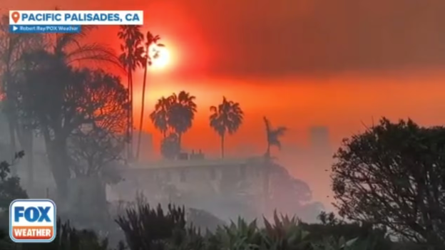 Watch: Charred remains of homes seen in Pacific Palisades after deadly California wildfires