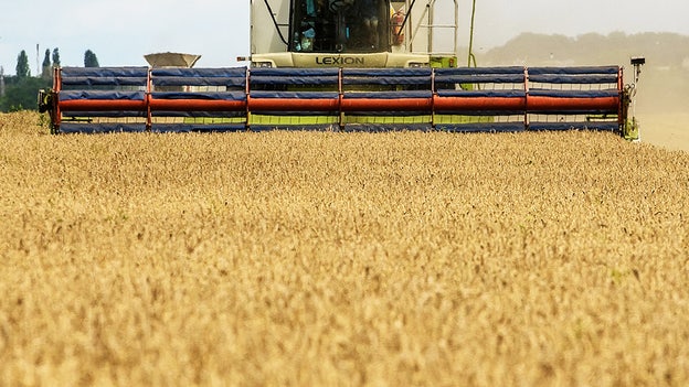 Wheat climbs on inflation concerns after Russia exits Black Sea pact