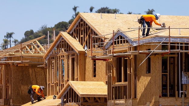Single-family housing starts, building permits plunge in November