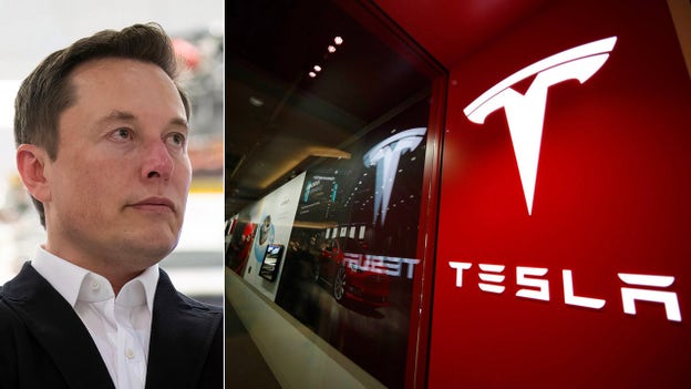 Elon Musk puts Tesla stock sales on pause