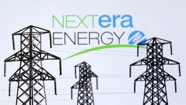 FPL owner NextEra Energy's mixed quarterly results fail to impress Wall Street