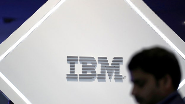 IBM reports highest annual revenue growth in a decade