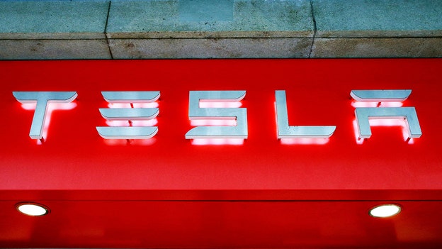 Tesla bull Ross Gerber abandons board bid: report