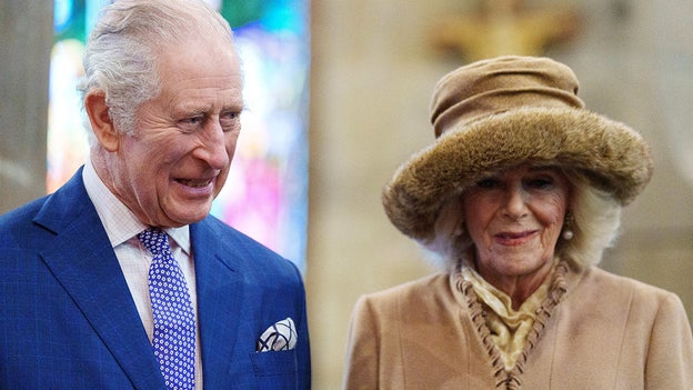 Camilla, wife of Britain's King Charles, tests positive for COVID