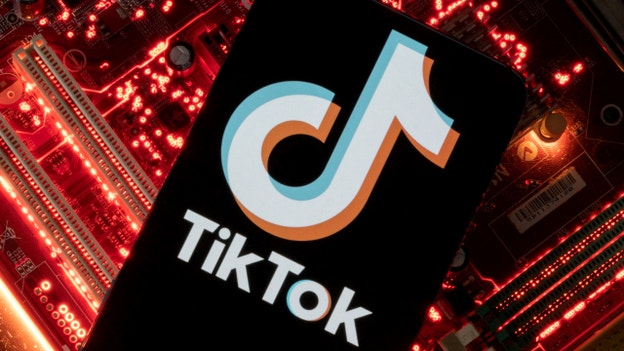 TikTok testing AI chatbot called 'Tako', research firm says