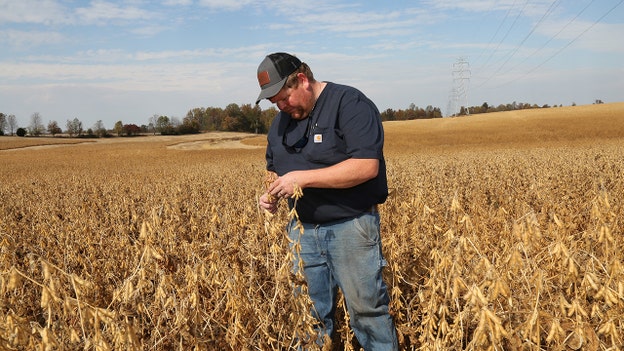 US-China tariff pause not enough to compete with Brazil in soybean market, American farmers say