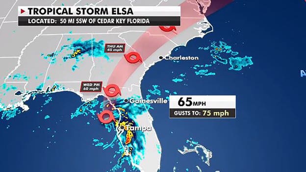 Elsa moving north 'almost parallel' to Florida's west coast: NHC