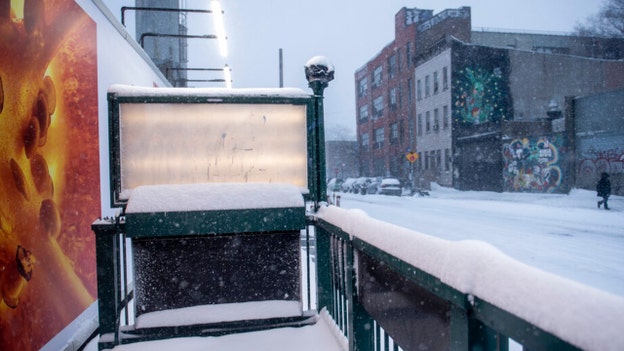 Deep snow, whipping winds from Nor'easter create hazardous conditions in New York