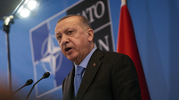 Erdoğan: Ukraine and Russia nearing 'consensus' on 4 of 6 key issues to ending the war