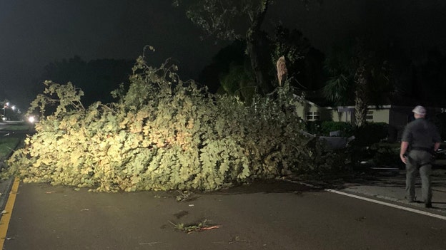 Images from Sarasota County Sheriff's Office show downed trees