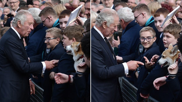 King Charles III giddy after spotting a Corgi in the Belfast crowd
