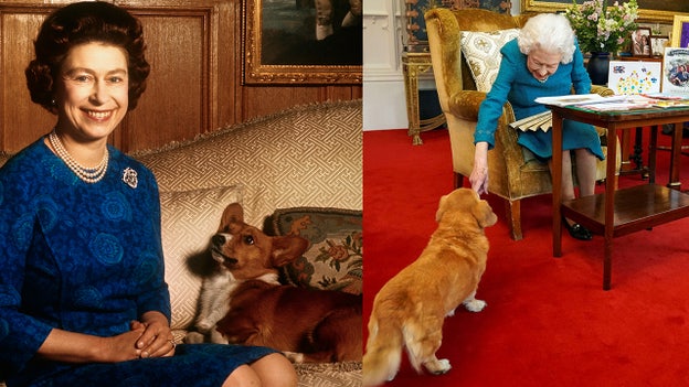 Queen Elizabeth II's corgis will be cared for by Prince Andrew and Sarah Ferguson: report