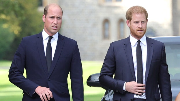 Prince William and Prince Harry will follow Queen Elizabeth II's coffin on foot