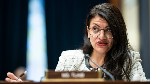 Tlaib's top campaign fundraiser accuses Israel of wanting to ethnically 'cleanse' Palestinians