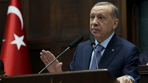 Turkey's Erdogan calls Hamas a 'liberation group'
