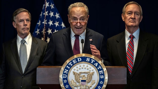 Schumer to lead delegation of bipartisan lawmakers to Israel this weekend