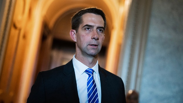 Sen. Cotton urges DHS to deport foreign nationals who support Hamas: 'No place in the United States'