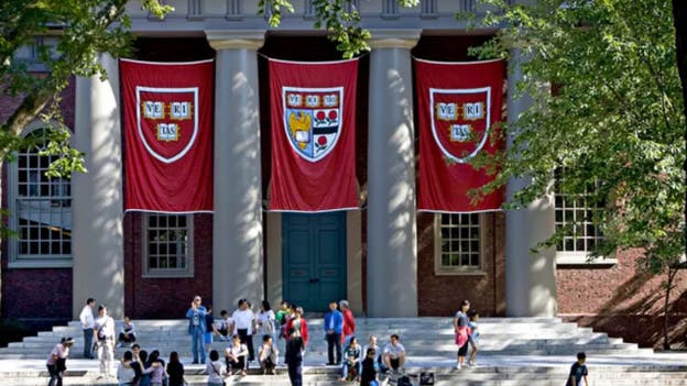 Harvard Law School student denounces anti-Israel statement she was linked to: 'Sorry for the pain'