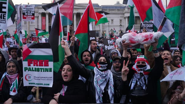 London police slam 'right wing' protests amid Israel-Hamas war