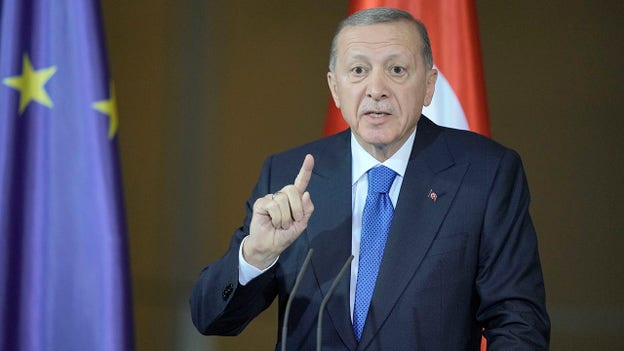 Turkish President Erdogan calls Israel PM Netanyahu the 'butcher of Gaza'