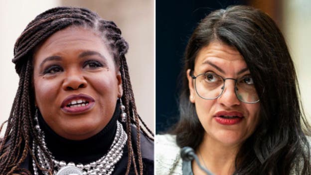 Democrat 'Squad' member backs Rep. Tlaib's use of chant which calls for 'genocide'