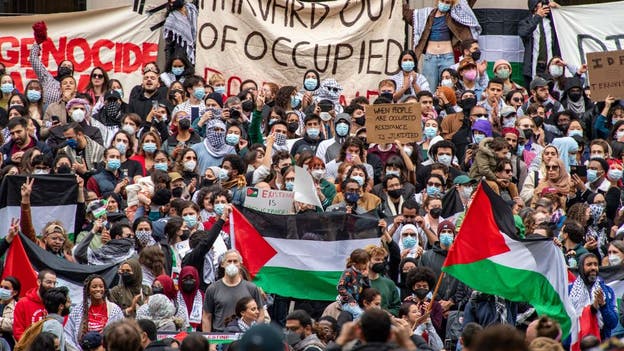 Brandeis University bans Students for Justice in Palestine over support of Hamas