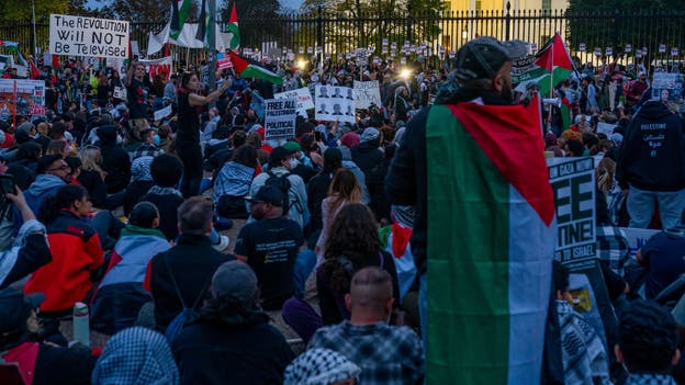 Pro-Palestinian protesters seen shaking White House gate vandalized with red paint: 'F--k Joe Biden'