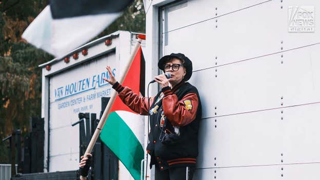 Actress Susan Sarandon speaks at NYC pro-Palestinian protest