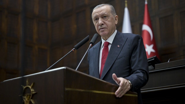 Turkish President Erdogan labels Israel 'terrorist state'