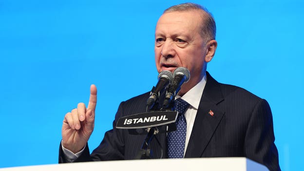 Turkey's President Erdogan denounces UN Security Council as 'Israel protection and defense council'