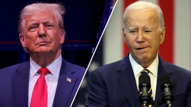 Trump vs Biden: The 2024 presidential campaign trail