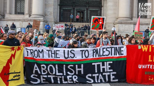 Hundreds of pro-Palestinian demonstrators protest outside NYC's American Museum of Natural History