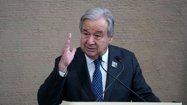 UN Secretary-General says two-state solution ‘only path to sustainable peace’