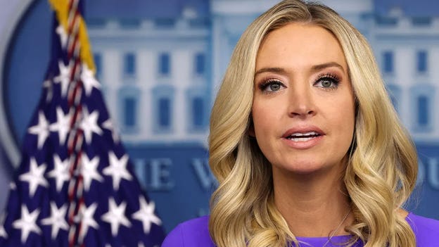 Fox News’ Kayleigh McEnany says Trump needs to win over Nikki Haley voters in order to beat Biden