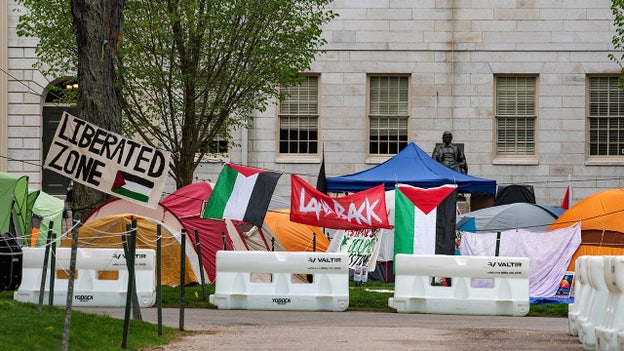 Harvard faculty send letter to school president urging dialogue with protesters occupying Yard