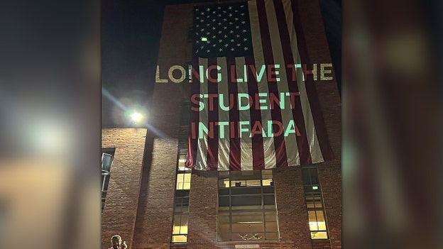 'Long Live the Student Intifada' displayed on American flag at George Washington University