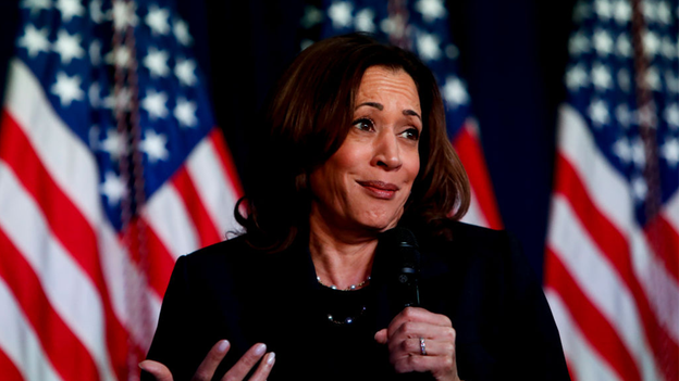 National security experts warn against ‘chaos’ of US elections as Harris enters race