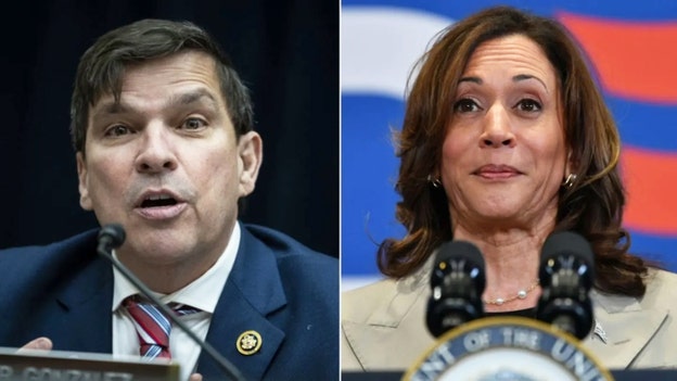 Dem from border district dodges questions on Harris' immigration record: 'Was she a border czar?'