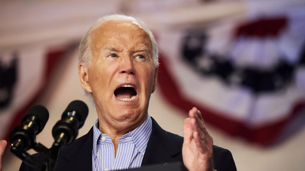 Biden anger toward 'elites' in MSNBC interview raises eyebrows